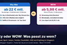 Zwei Vergleichskarten: Sky Abo ab 22 € mtl. (Bundesliga + Entertainment, 12 Monate) mit Sky Q (Sat/Kabel) oder Sky Stream Box, Ultra HD & Multiscreen möglich, Netflix & Paramount+ im Top-Deal; WOW ab 5,98 € mtl. (Filme & Serien, 12-Monatsabo) mit Streaming ohne Receiver, Monatsabo monatlich kündbar, Live-Sport ab 29,99 € mtl. Text: „Sky oder WOW: Was passt zu wem?“