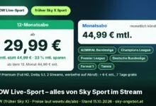 Preiskarte WOW Live-Sport im 12-Monatsabo: ab 29,99 € mtl. statt 44,99 €, 33 % mtl. sparen, ab dem 13. Monat 44,99 €. Daneben das Monatsabo um 44,99 € mtl., monatlich kündbar, und die Inhalte ADMIRAL Bundesliga, Champions League, Premier League, Deutsche Bundesliga, Formel 1 und Tennis. Darunter „WOW Premium: + 6 € mtl., 7 Tage gratis“. Text: „WOW Live-Sport – alles von Sky Sport im Stream“